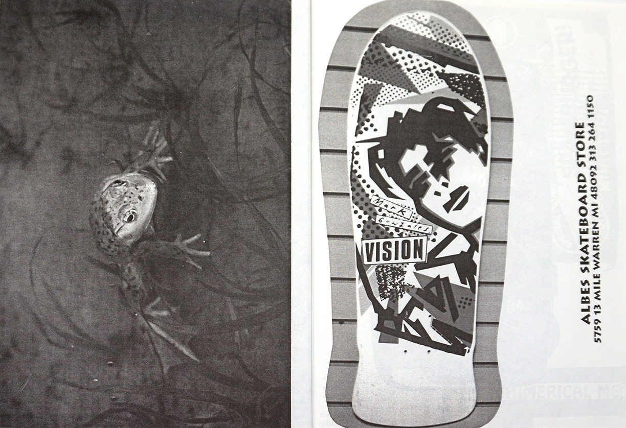 Image 2
